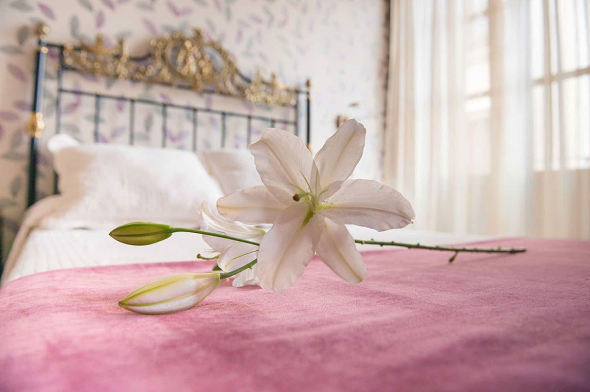 ลาส เนียเบส Hotel กรานาดา ภายนอก รูปภาพ